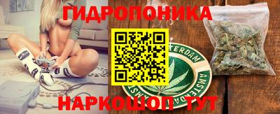 прущие грибы Новозыбков